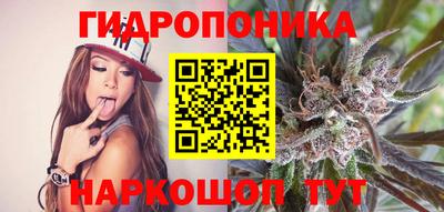 спиды Ливны